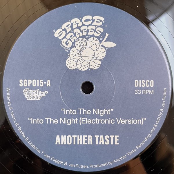 Into The Night - Another Taste feat Sarina Voorn